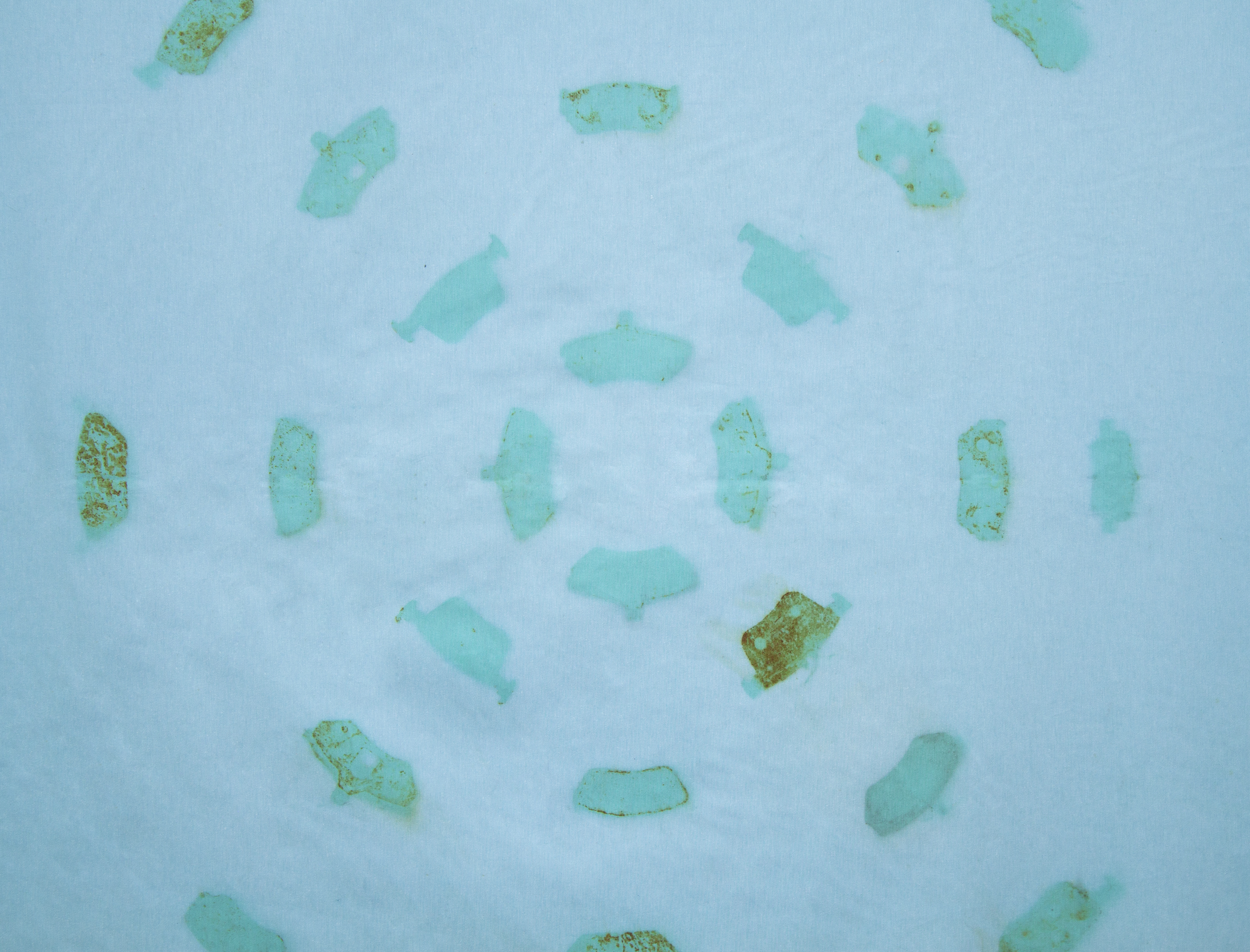 Foto de XXII Bienal Internacional de Arte de Cerveira