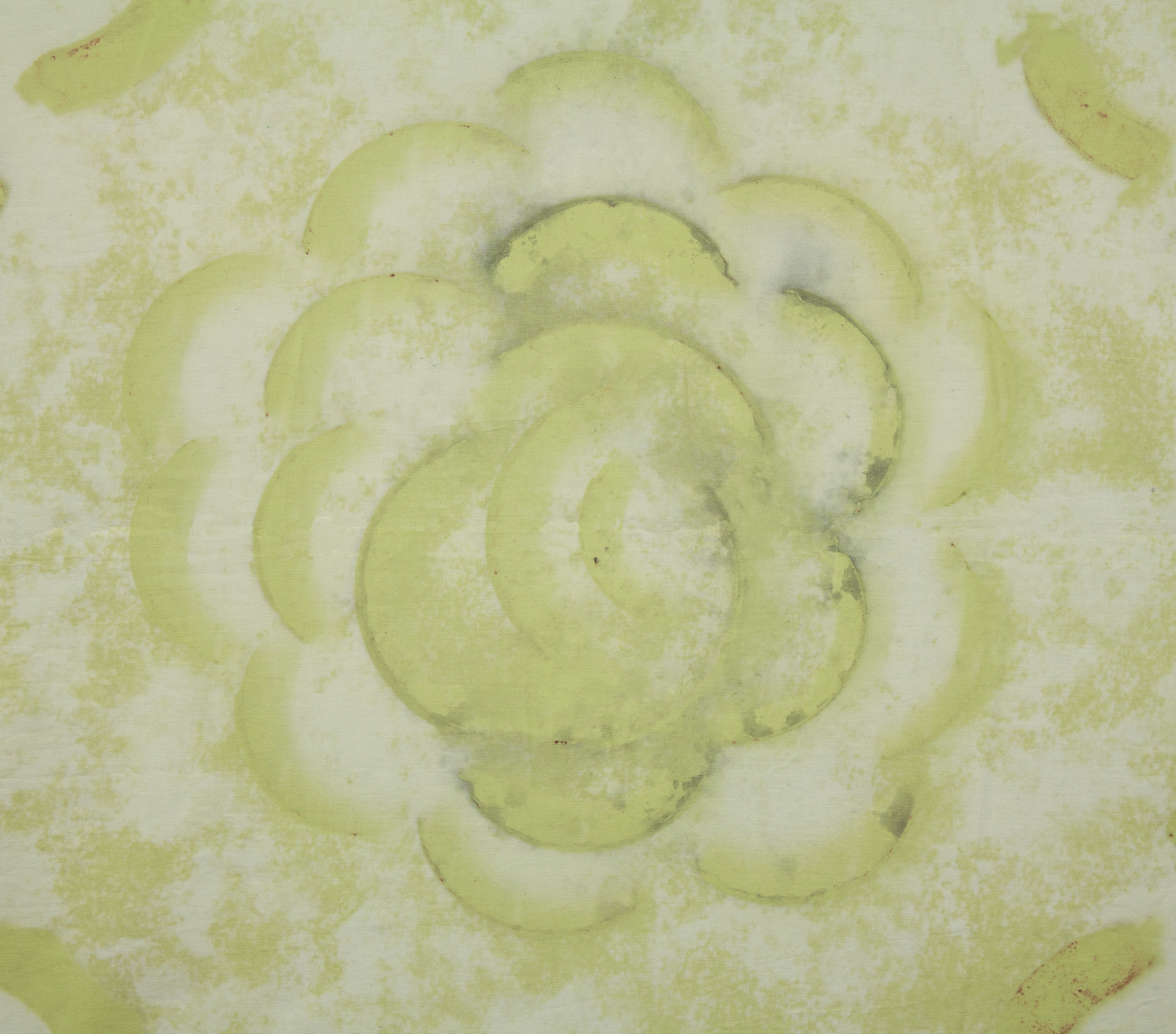 Foto de XXII Bienal Internacional de Arte de Cerveira