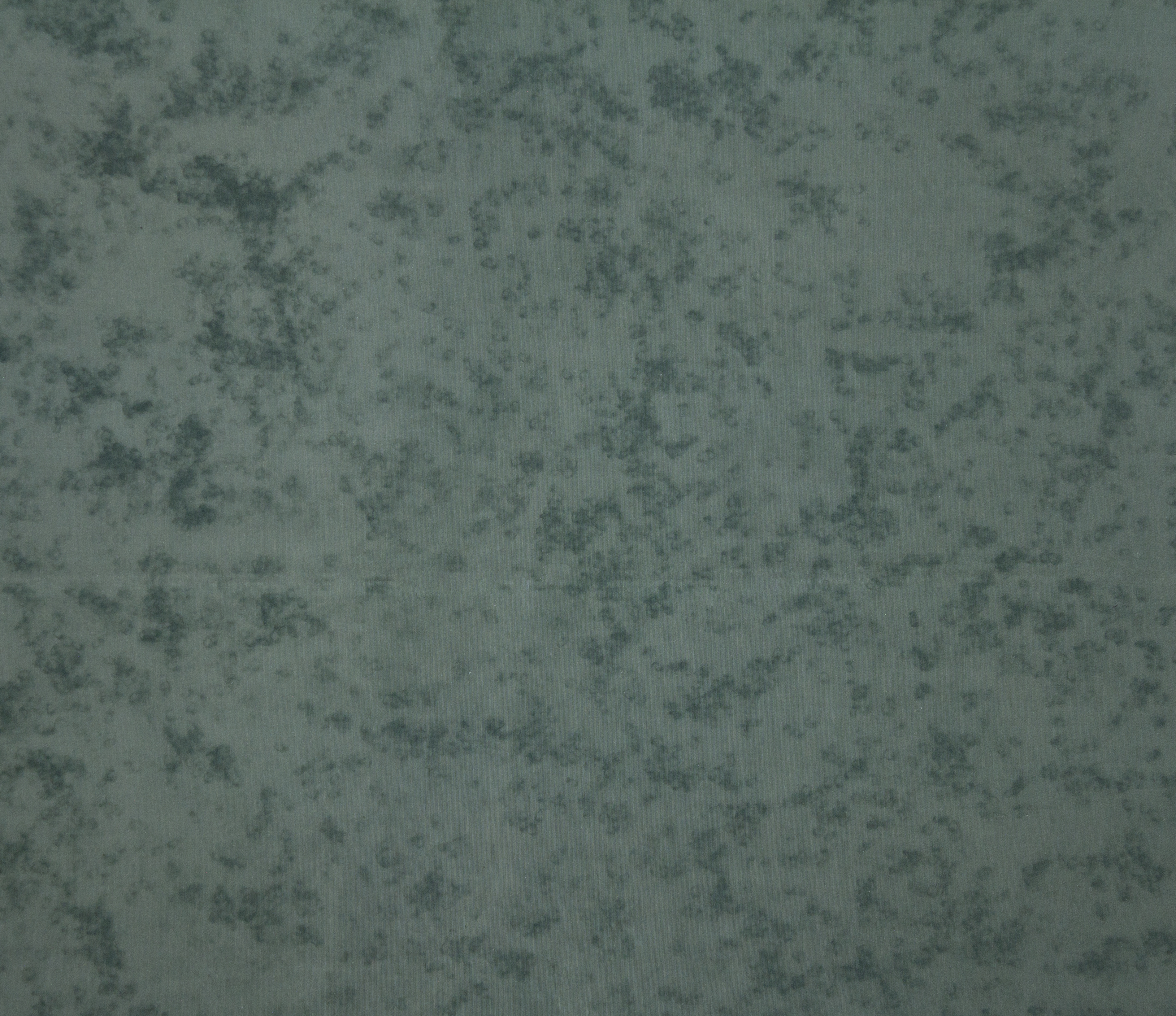 Foto de XXII Bienal Internacional de Arte de Cerveira