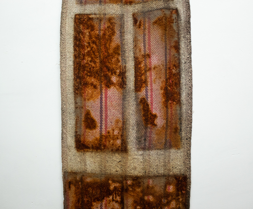 Foto de En Octubre brota el amarillo