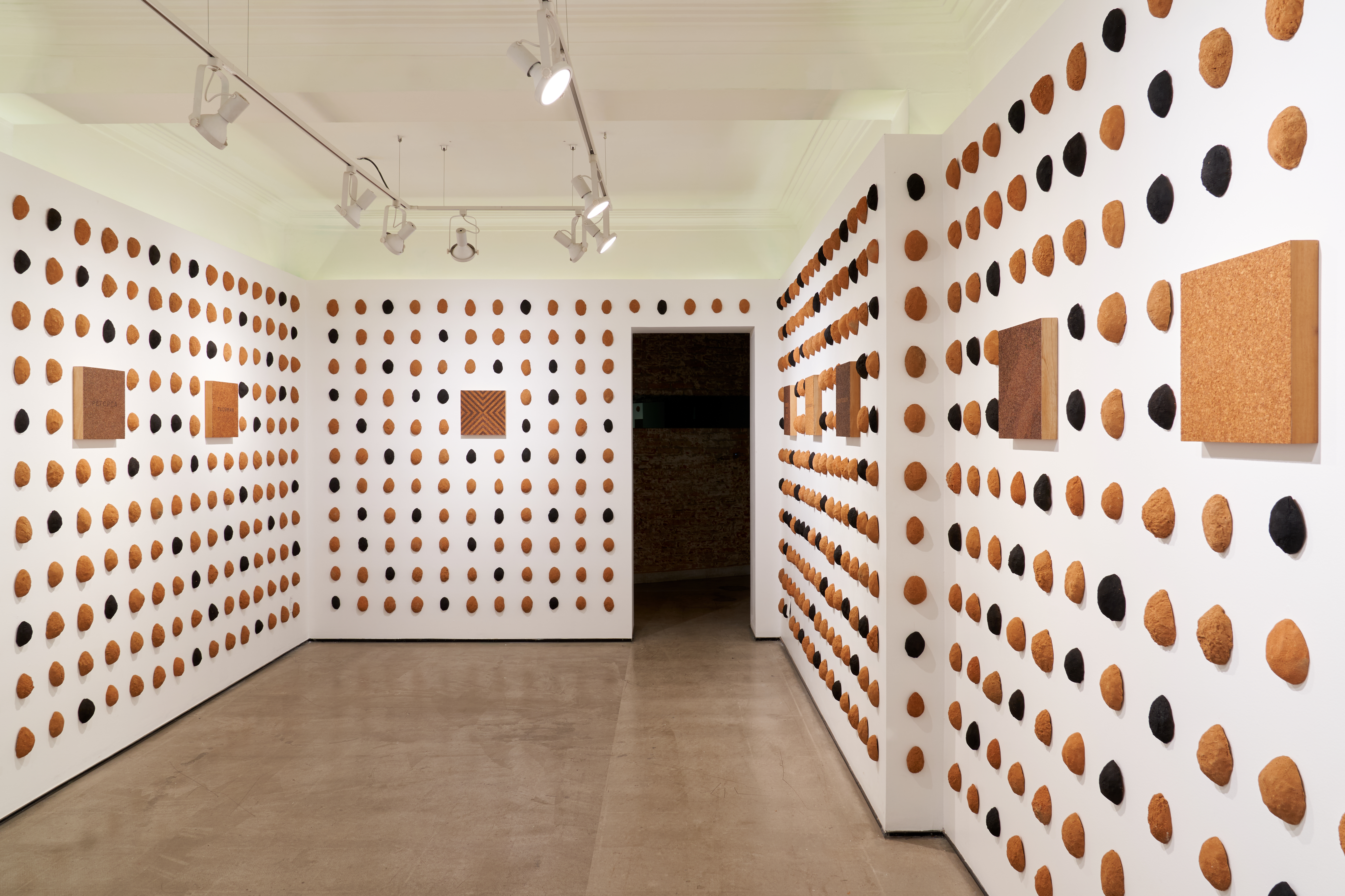 Foto de Se Vende Serie