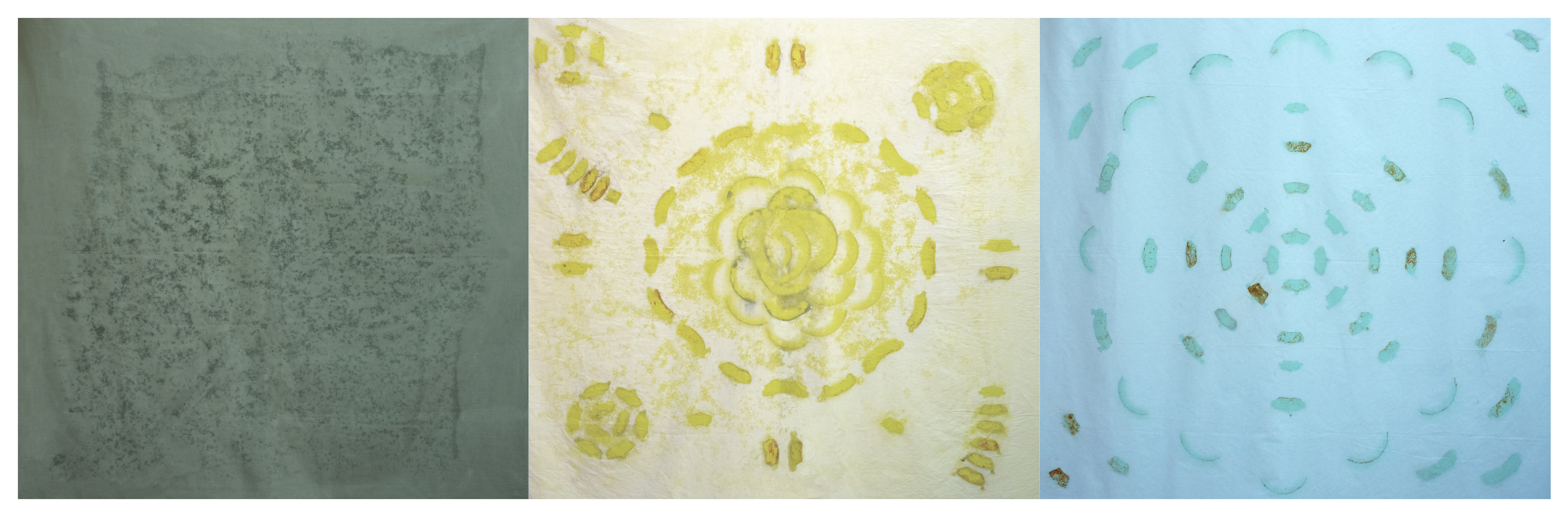 Foto de XXII Bienal Internacional de Arte de Cerveira