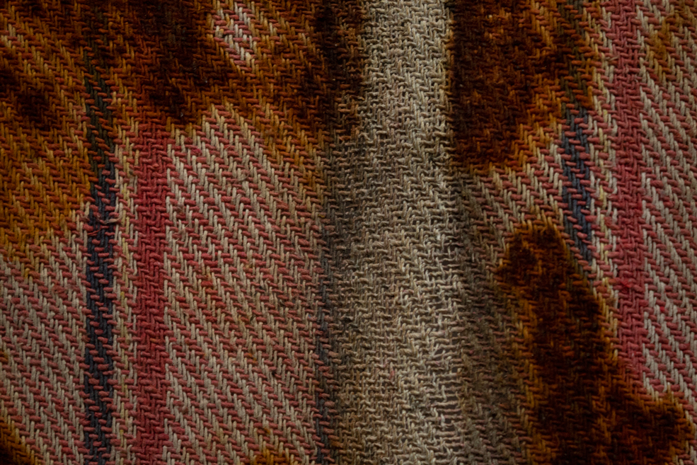 En Octubre brota el amarillo